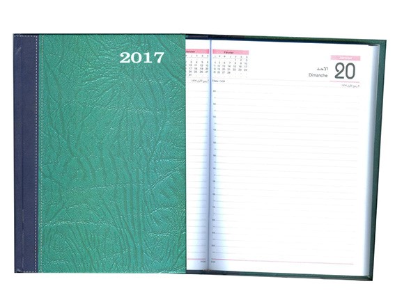 Agenda journalier de bureau 17 x 24 cm - Couverture en simili cuir - Papier blanc 80 g/m² - Multilingue